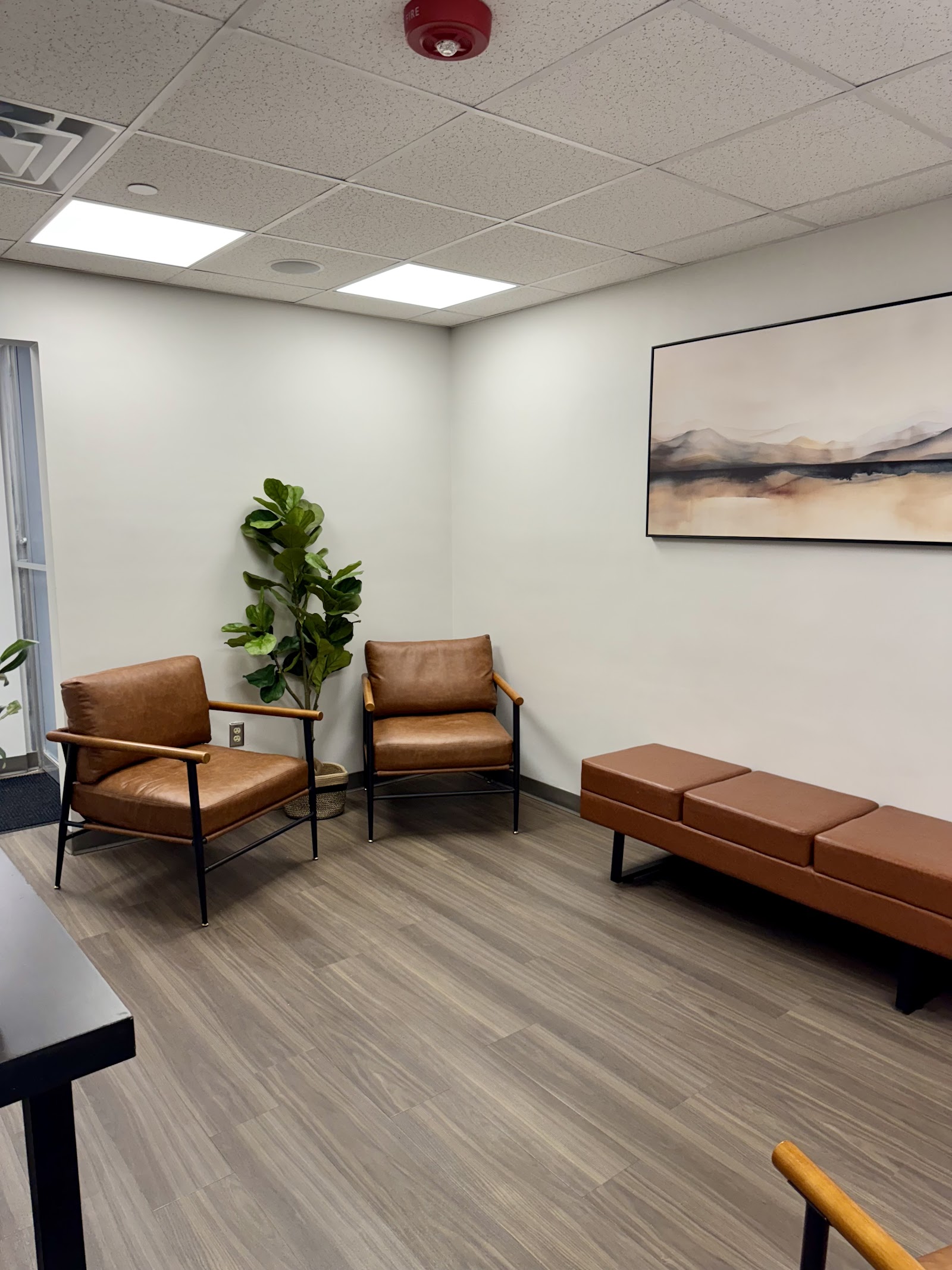 Florida Special Care Dentistry — treatment area
